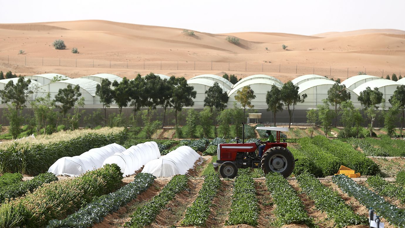 Agricultural & Irrigation Services